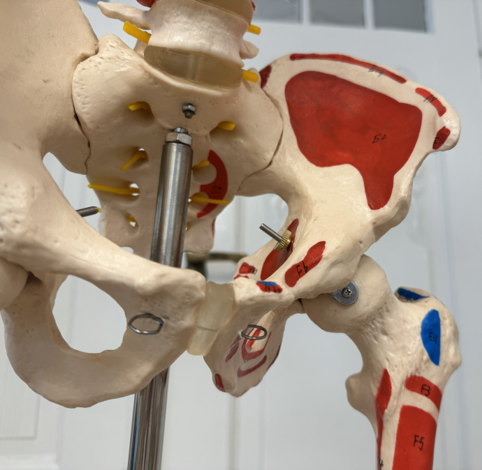 Arthrosetherapie zur Behandlung von Gelenkschmerzen in der orthopädischen Privatpraxis von Dr. med. Karolin Stein in Berlin Treptow-Köpenick