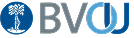 Logo des BVOU – Berufsverband für Orthopädie und Unfallchirurgie
